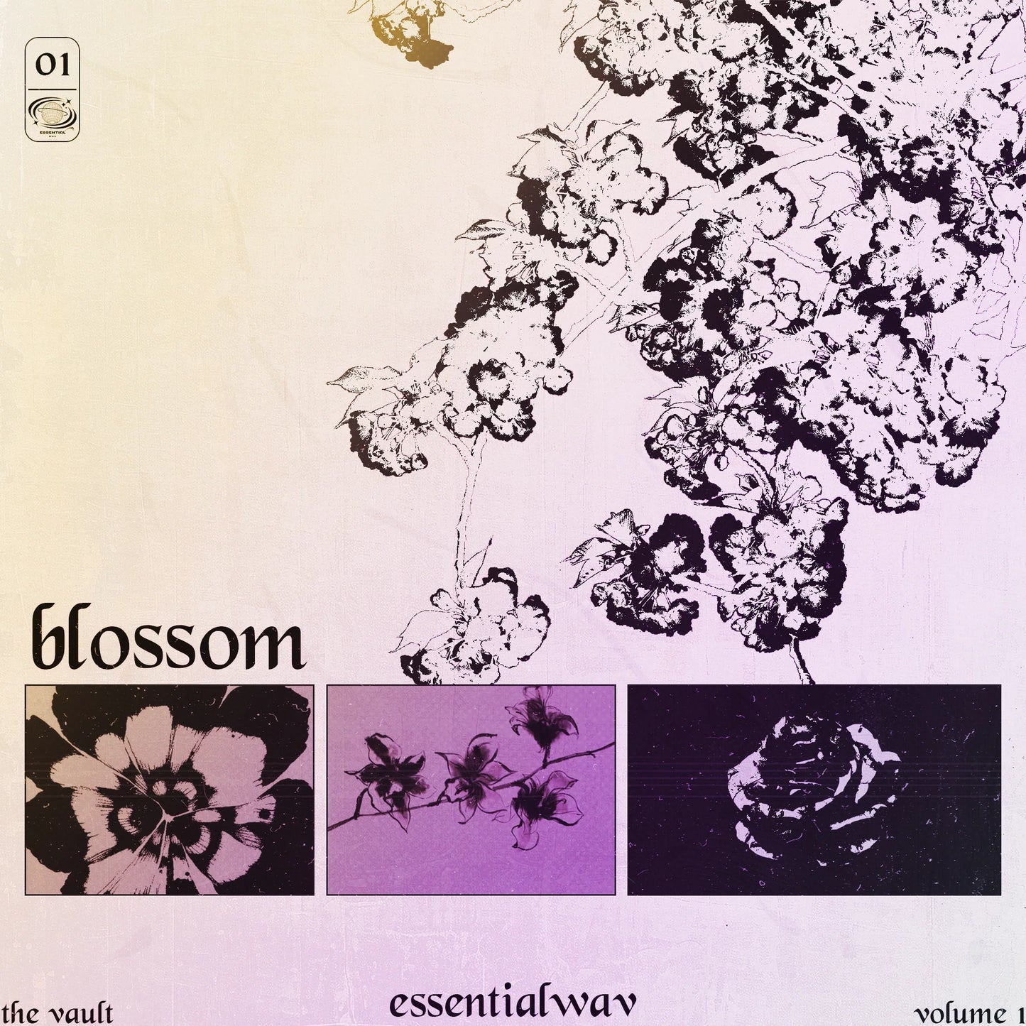 Blossom Sample Library